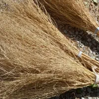 جارودستی|لوازم نظافت|ارومیه, |دیوار