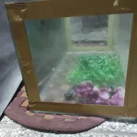 آکواریوم|ماهی|تربت‌حیدریه, بالا ولایت|دیوار