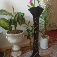 گلدون|گل مصنوعی|میاندوآب, |دیوار