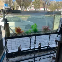 آکواریوم با پایه