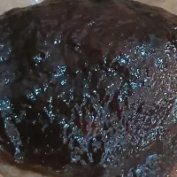 رب آلوچه آتش پز، جنگلی ۲۱۰