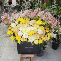 باکس مشکی|گل و گیاه طبیعی|شیراز, خلدبرین|دیوار
