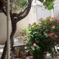 فروش ویلایی ۲۰۰ متر جنوبی بهترین فرعی عارف|فروش خانه و ویلا|شاهین‌شهر, فیض|دیوار