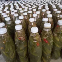 خیارشور بطری ودبه.ترد.ادویه .کره مغزیجات.مانکن|خوردنی و آشامیدنی|بجنورد, |دیوار