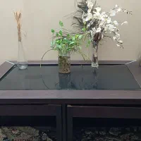 میز جلو مبلی