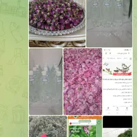 گلاب و عرقیجات خانگی تخفیف ویژه برای ماه محرم|خوردنی و آشامیدنی|تربت‌حیدریه, قائم|دیوار