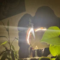 آباژور رستیک دست ساز|چراغ خواب و آباژور|اصفهان, مصلی|دیوار