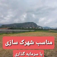 17000-متر-باغات-مناسب-شهرک-سازی-رامسر-کتالم