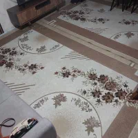 فرش ۶متری دوجفت