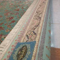 فرش 9متری|فرش|رشت, کوی جام جم|دیوار