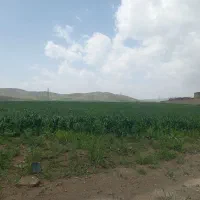 اجاره-زمین-کشاورزی
