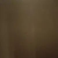موکت سالم سالم