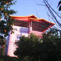اجاره شبانه ویلا در سوادکوه