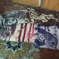 پتو|رختخواب، بالش، پتو|نوشهر, |دیوار