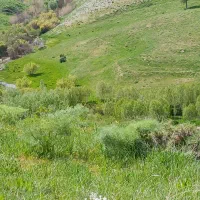 تفریح و ط بیعت گردی