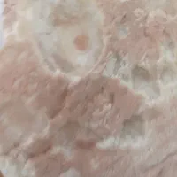 دوهمکار خانم