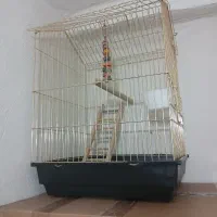 قفس پرنده