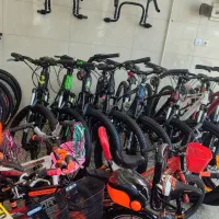 دوچرخه ویوا 20 24 حرفه ای++