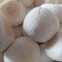 کشک و روغن گاو