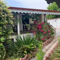 ویلا ساحلی/285مترزمین/سنددار/خشک‌اسطلخ