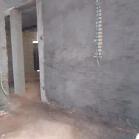 پلاسر کارم درج یک باقیمت مناسب درخدمتم