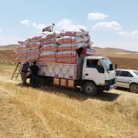 کاه درجه یک کردستان|حیوانات مزرعه|رشت, نامجو|دیوار