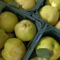 به همان هیوا خوش طعم
