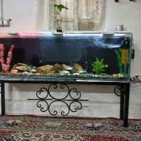 آکواریوم بزرگ ۱متر ۶۰ سانتی