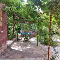 اجاره باغ ویلا