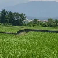 معاوضه وفروش زمین کشاورزی در مازندران
