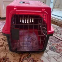 باکس خرگوش یا گربه