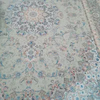 قالی|فرش|سیرجان, |دیوار