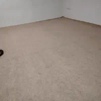 موکت|موکت|همدان, |دیوار