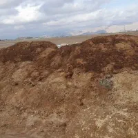 کود حیوانی گوسفند