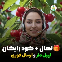 نهال البالو گوشواره ای