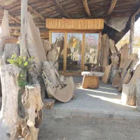 خرید و فروش انواع چوب