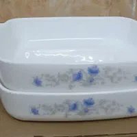 دو مرغ خوری مربعی گل آبی