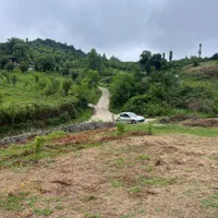 زمین ویودار،280 متر،مناسب کلبه چوبی|فروش زمین و ملک کلنگی|مرزیکلا, |دیوار