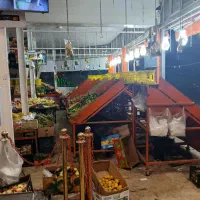 کارگر میوه تره بار