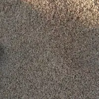 شوش|حراج|شوش, |دیوار