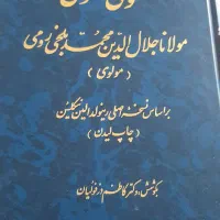 مثنوی معنوی و رمان