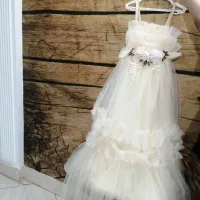 لباس مجلسی پرنسسی|لباس|نیشابور, شهرک فرهنگیان|دیوار