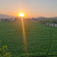 فروش-مستقیم-باغ-و-زمین-ملوسجان-سند-تک-برگ