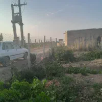 یک قطعه باغ ۱۰۵۰ متری تاکستان|فروش دفتر صنعتی، کشاورزی، تجاری|کرج, نوروزآباد|دیوار