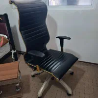 صندلی چرخدار  مدیریتی آور گونو میک. 8400|مبلمان اداری|یاسوج, |دیوار