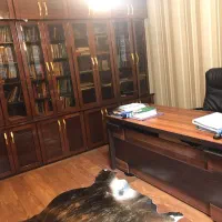 نیاوران صاحبقرانیه ویلایی مستغلات مناسب مشاغل و ..