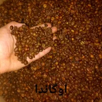 کارگاه رست و پخش قهوه دیزباد|کافیشاپ و رستوران|ملکآباد, |دیوار