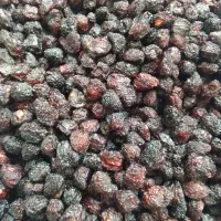 گیلاس خشک تازه امسال