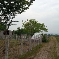 زمین مسکونی ویلاm250سراوان کچاگلسرک سیاهکل قاضیان