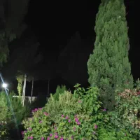 رهن اپارتمان۴خوابه۲۰۰متری تک واحدی|اجارهٔ آپارتمان|شیراز, فلکه گاز|دیوار